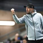 Bývalý hráč Middlesbrough Didier Digard sa vo Francúzsku zaplietol do sporu o rasizmus