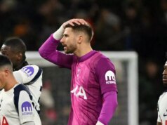 Guglielmo Vicario podporil po vyhlásení Tottenhamu zverejnenom po kvílení Fulhamu Brankár Tottenhamu Guglielmo Vicario po prehre proti Fulhamu.