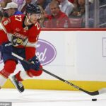 Útočník Floridy Panthers Eetu Luostarinen zrejme vynechá čas na ľade po šialenom zranení.