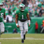 logo pochodového šialenstva