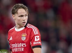 Hviezde Ligy majstrov hrozí väzenie za „nezákonné zdieľanie videa online“ Krídelník Benficy Andreas Schjelderup prezradil, že mu hrozí väzenie za zdieľanie nelegálneho videa