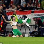 Troy Parrott bol dnes pre Írsko opäť hrdinom, keď strelil hetrik a zabezpečil svojej krajine postup do play-off na majstrovstvách sveta.