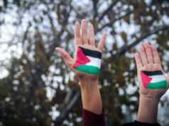 Izrael napojený na tienistú spoločnosť stojacu za „vysídlenými“ letmi z Gazy | Obchodovanie s ľuďmi Izrael napojený na tienistú spoločnosť stojacu za „vysídlenými“ letmi z Gazy | Obchodovanie s ľuďmi