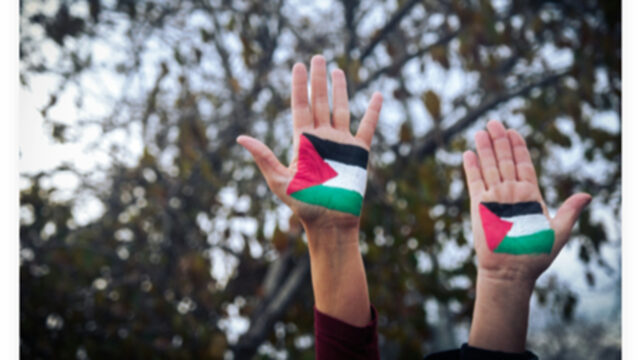 Izrael napojený na tienistú spoločnosť stojacu za „vysídlenými“ letmi z Izrael napojený na tienistú spoločnosť stojacu za „vysídlenými“ letmi z Gazy | Obchodovanie s ľuďmi