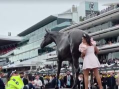 Je toto „Wheelie Bin girl“ z roku 2025? Bolestivý moment, keď sa účastník pretekov Melbourne Cup pokúsil jazdiť na soche koňa – predtým, ako mu to povedala polícia Návštevníčka pretekov sa stala virálnou po tom, čo sa pokúsila vyliezť na ikonickú sochu vo Flemingtone počas tohtoročného Melbourne Cupu.