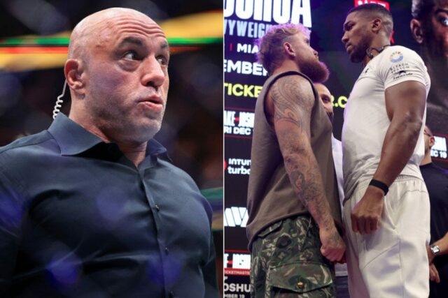 Joe Rogan nemôže uveriť, že Jake Paul verzus Anthony Joshua Download app from appStore
