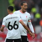 Virgil van Dijk, Liverpool player