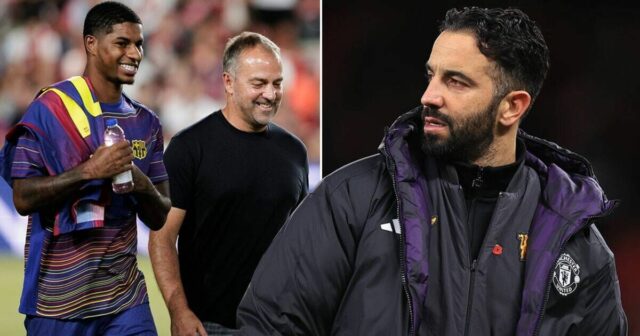 Komentár Marcusa Rashforda krúti nôž do Man Utd a Rubena Amorima | Futbal | Šport
