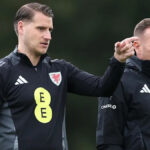 Kto je Cremers, šéf Walesu v Bellamyho neprítomnosti?