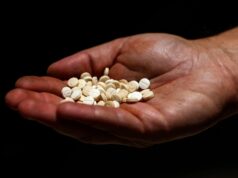 Libanon zatkol údajného drogového kráľa sankcionovaného ministerstvom zahraničných vecí USA | Správy o drogách Libanon zatkol údajného drogového kráľa sankcionovaného ministerstvom zahraničných vecí USA | Správy o drogách