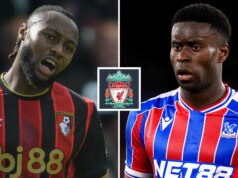 Liverpool je „na trhu“, keď sa objaví zvýraznená zelená viac ako 90 miliónov libier za dvojnásobok januárového obchodu Liverpool je „na trhu“, keď sa objaví zvýraznená zelená viac ako 90 miliónov libier za dvojnásobok januárového obchodu