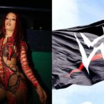 Moneovi sa páčil príspevok Indyho Hartwella (Screengrab prevzatý z Instagramu)