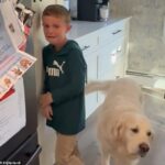 Mladý fanúšik Jets sa rozzúril po tom, čo počul, že New York vymenil Sauce Gardner