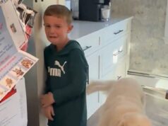 Mladý fanúšik Jets sa neuveriteľne zrútil po tom, čo mu povedali, že Sauce Gardner vymenili za Colts Mladý fanúšik Jets sa rozzúril po tom, čo počul, že New York vymenil Sauce Gardner