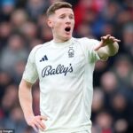 Elliota Andersona nepredá Nottingham Forest v januárovom prestupovom období