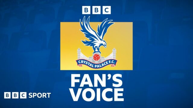 Crystal Palace fan's voice banner