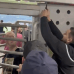 Download app from appStore