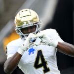 logo pochodového šialenstva