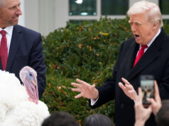 „Pohltiť a kolísať sa“: Trump omilostil moriakov na Deň vďakyvzdania, kritizoval demokratov | Donald Trump "Pohltiť a kolísať sa": Trump omilostil moriakov na Deň vďakyvzdania, kritizoval demokratov | Donald Trump