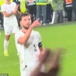 Portugalsko IMPLODE v Írsku: Zúrivý Bernardo Silva a Ruben Dias sa dostali do konfliktu s vlastnými fanúšikmi, keď šéf Roberto Martinez obviňuje súperov z násilnej červenej karty Cristiana Ronalda
