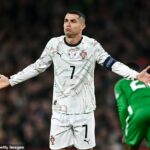 Portugalská futbalová federácia (FPF) sa podľa správ v Portugalsku chystá odvolať proti zákazu udeľovania červených kariet Cristianovi Ronaldovi.