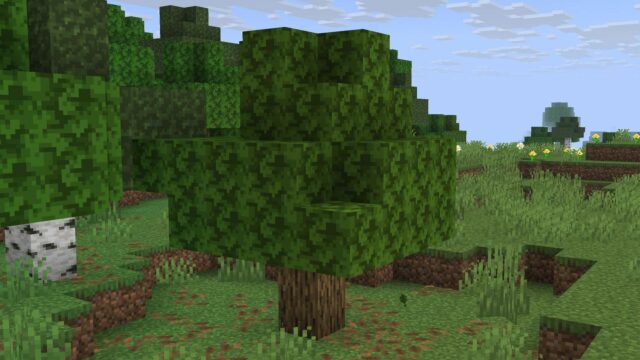 Prečo je nová textúra listov v pred vydaním Minecraft Mounts Prečo je nová textúra listov v pred vydaním Minecraft Mounts of Mayhem sklamaním