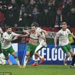 Troy Parrott dosiahol úžasný hetrik a pomohol Írsku zabezpečiť si postup do play-off na majstrovstvách sveta v dramatickej kvalifikácii v Puskas Arene.