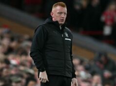 Southampton po piatich mesiacoch prepustil trénera Willa Stilla Southampton po piatich mesiacoch prepustil trénera Willa Stilla