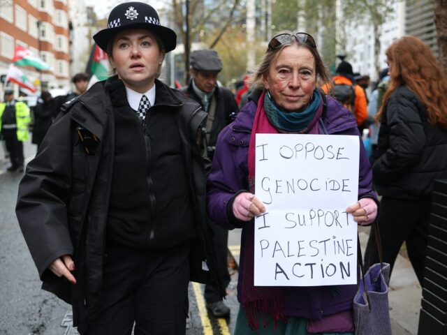 Spoluzakladateľ Palestine Action napadne na súde Spojeného kráľovstva zákaz skupiny | Správy z Gazy
