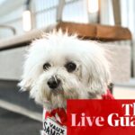 Sunderland vs Arsenal: Premier League – naživo | Premier League