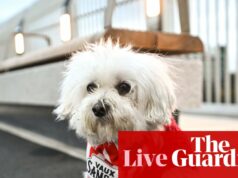 Sunderland vs Arsenal: Premier League – naživo | Premier League Sunderland vs Arsenal: Premier League – naživo | Premier League