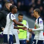 Mathys Tel nastúpil za Tottenham proti Manchestru United, ale striedanie bolo vypískané