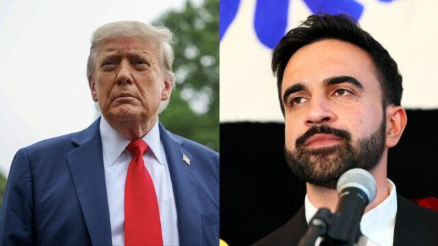 Zohran Mamdai (obrázok Vittyemes)