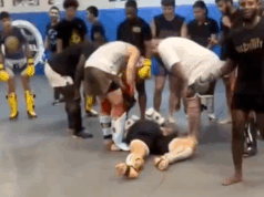 Video: Alex Pereira knokautuje sparing partnera v telocvični Download app from appStore