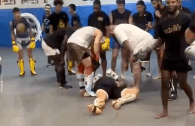 Video: Alex Pereira knokautuje sparing partnera v telocvični Download app from appStore