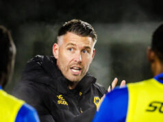 Vlci majú ešte čas na prežitie – Edwards Vlci majú ešte čas na prežitie - Edwards