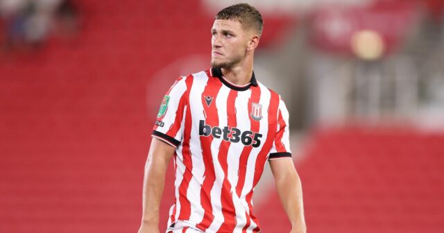 Mladík Tottenhamu Hotspur Jamie Donley utrpel neuspokojivé hosťovanie v Stoke City 