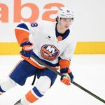 Začať alebo schovať? Títo nováčikovia NHL okamžite rozprúdia fantáziu