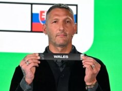 Žreb play-off majstrovstiev sveta je v plnom rozsahu, pretože Wales a Severné Írsko majú nočnú moru Žreb play-off majstrovstiev sveta je v plnom rozsahu, pretože Wales a Severné Írsko majú nočnú moru