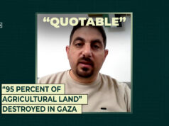 „95 percent poľnohospodárskej pôdy“ zničených v Gaze | Gaza „95 percent poľnohospodárskej pôdy“ zničených v Gaze | Gaza