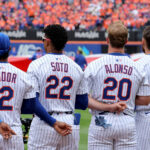 logo pochodového šialenstva