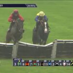 Blowers (vpravo) je krk a krk s obľúbeným On The Bayou na poslednej prekážke...