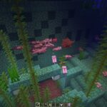 Java Edition má globálne davové čiapky a davy pre každého hráča (Obrázok cez Sportskeeda Gaming || Mojang Studios)