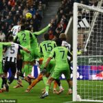 Včasná hlavička Lewisa Mileyho poskytla balzam na nedeľnú prehru Newcastlu v derby, keď prekonali Fulham.