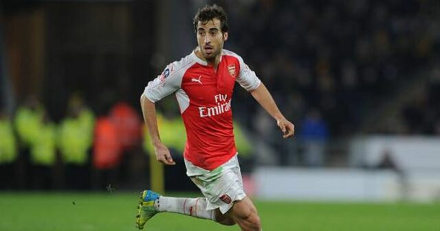 Mathieu Flamini z Arsenalu počas opakovania 5. kola Emirates FA Cup medzi Hull City a Arsenalom na štadióne KC 8. marca 2016 v Hull v Anglicku