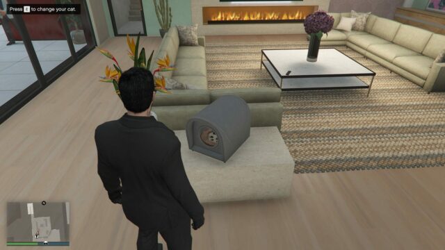 Ako získať mačky v aktualizácii GTA Online A Safehouse in Možnosti mačiek v GTA Online A Safehouse in the Hills (Obrázok cez Sportskeeda Gaming || Rockstar Games)