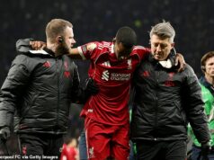 Alexander Isak odstúpil s nepríjemným zranením len chvíľu po tom, čo hráč Liverpoolu skóroval proti Tottenhamu za 125 miliónov libier Alexander Isak bol nútený odísť pre škaredé zranenie po tom, čo skóroval za Liverpool proti Tottenhamu