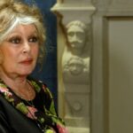 Brigitte Bardot, francúzska filmová ikona, ktorá sa stala krajne pravicovou provokatérkou, zomrela vo veku 91 | Kino novinky