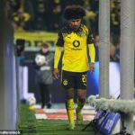 Karim Adeyemi bol kritizovaný za to, že je „neúctivý“ po tom, čo reagoval nahnevane po tom, čo bol vystriedaný počas piatkového víťazstva Borussie Dortmund nad Borussiou Monchengladbach 2:0.