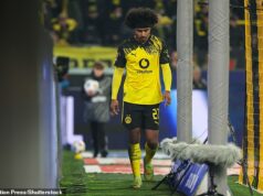 Cieľ Man United kritizovaný za „neúctivé“ správanie po tom, ako vypadol z ihriska pri víťazstve 2:0 – niekoľko dní po tom, čo sa ukázalo, že jeho MANŽELKA „stojí za jeho plánom opustiť klub v prestupe 70 miliónov libier“ Karim Adeyemi bol kritizovaný za to, že je „neúctivý“ po tom, čo reagoval nahnevane po tom, čo bol vystriedaný počas piatkového víťazstva Borussie Dortmund nad Borussiou Monchengladbach 2:0.